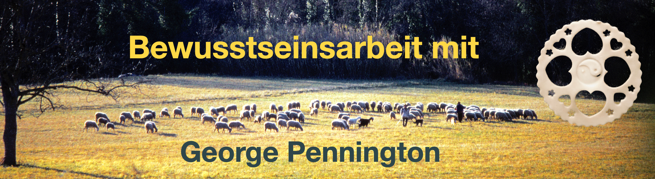 Pennington-Training